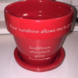 Plant Pot